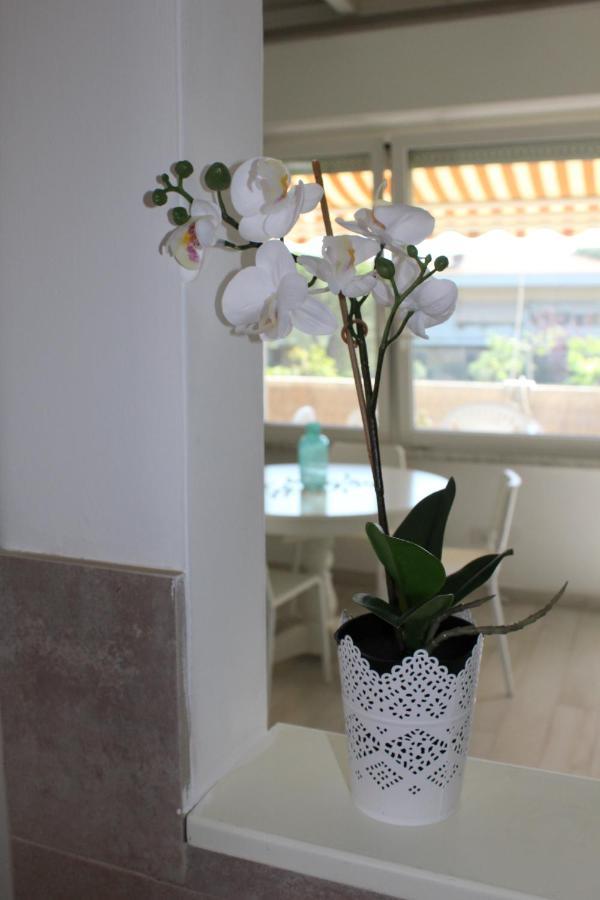 La Ca' Al Mare Apartment Carrara Exterior photo